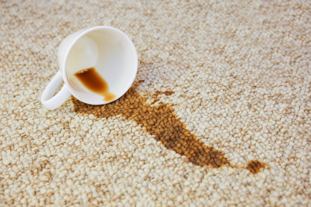 Rug Cleaning Service